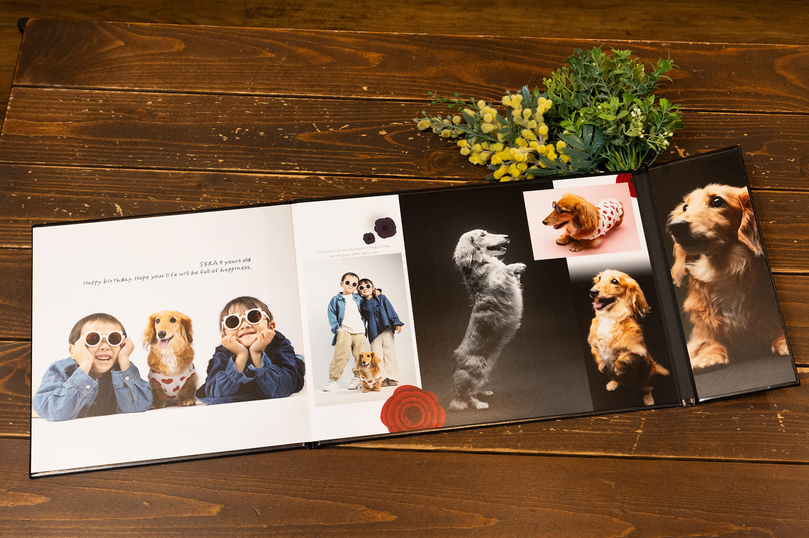 WIDE BOARD（ワイドボード）