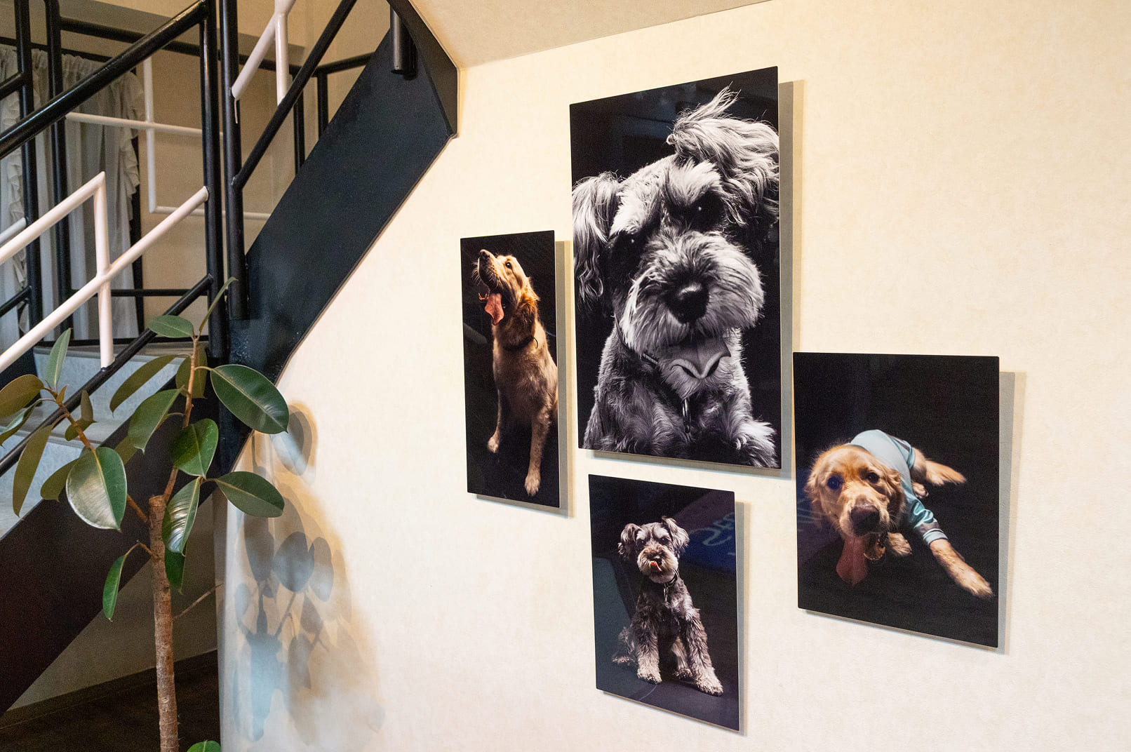 メタルプリント